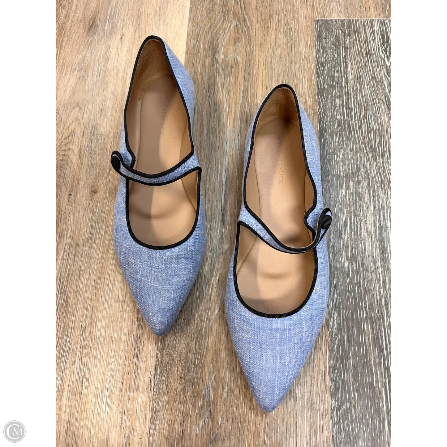 Shoes Designer By Tuckernuck In Blue, Size: 8.5