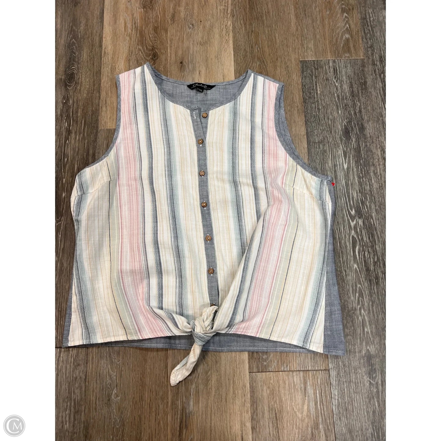 Top Sleeveless By Charlie B In Striped Pattern, Size: Xl