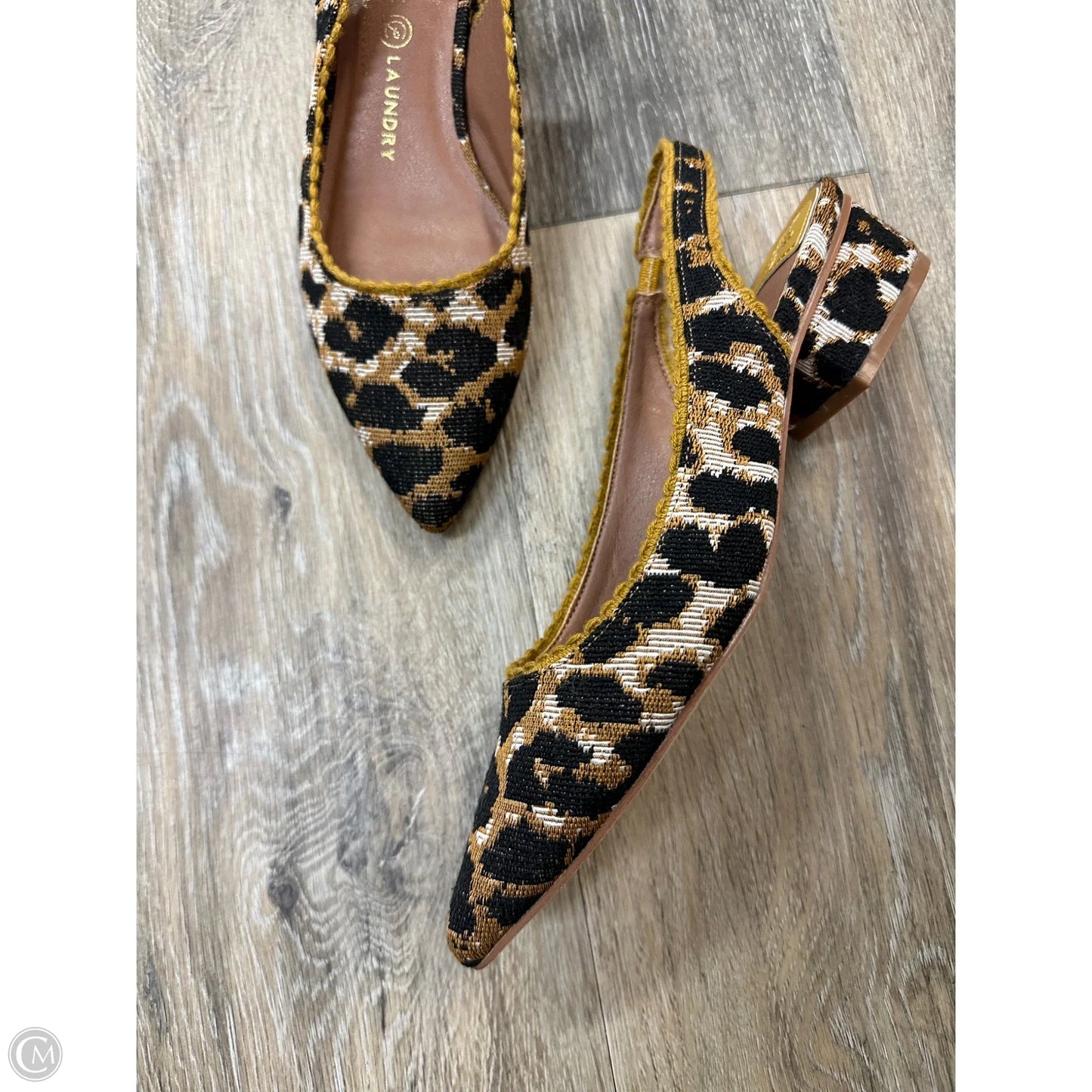 Shoes Heels Kitten By Chinese Laundry In Animal Print, Size: 6.5