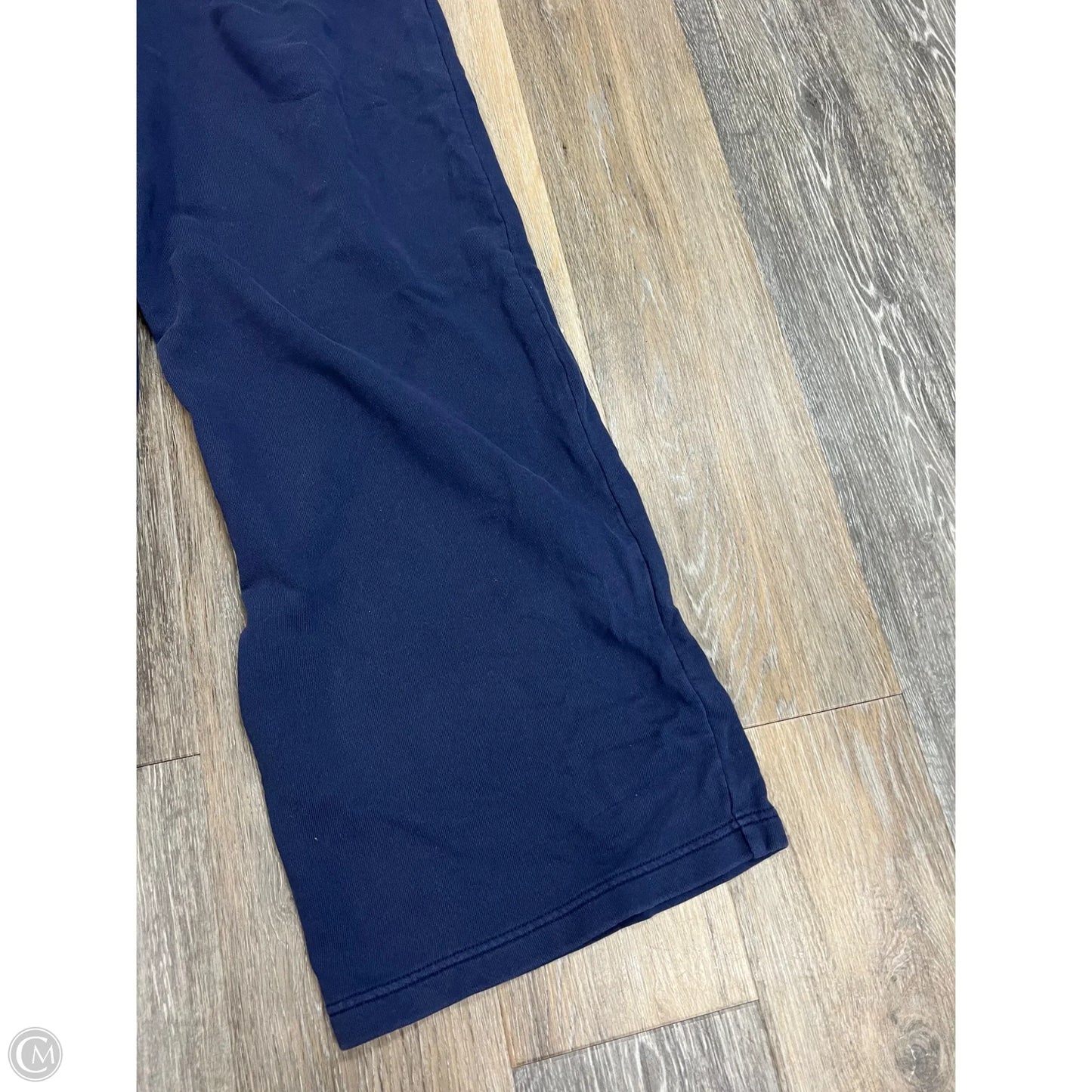 -Athletic Pants By Aerie In Blue, Size: M