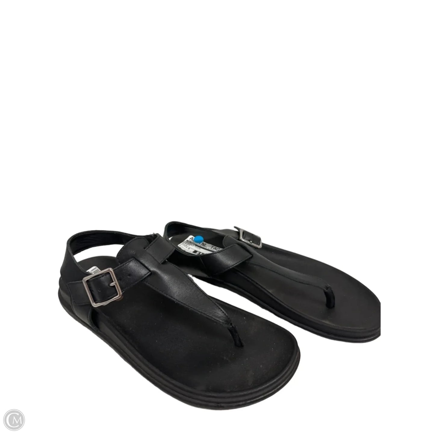 Sandals Flats By Blondo In Black, Size: 7.5