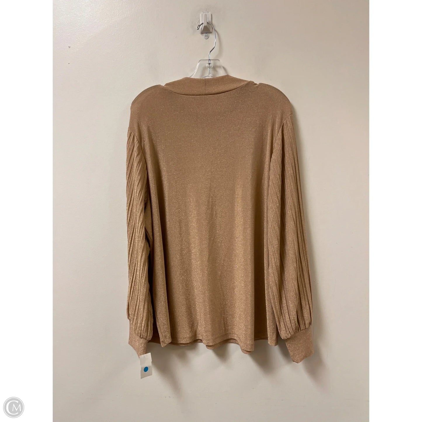 Top Long Sleeve By Chicos In Gold, Size: 2x
