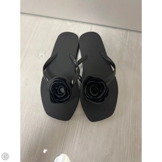Sandals Flip Flops By Shade & Shore In Black, Size: 6