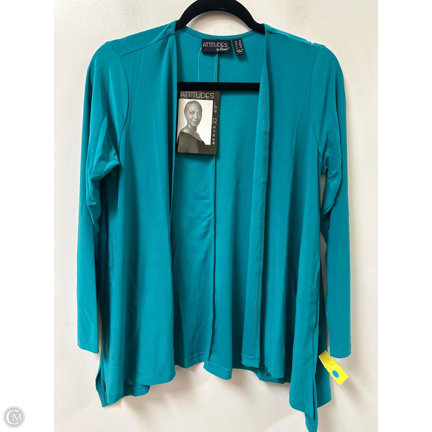 Sweater Cardigan By Attitude In Teal, Size: S
