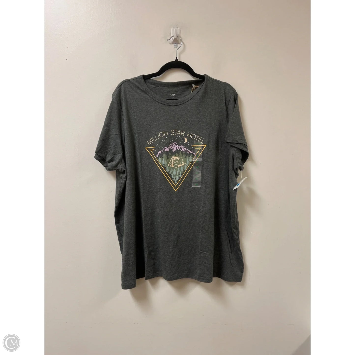 Top Short Sleeve By Dip In Grey, Size: 2x