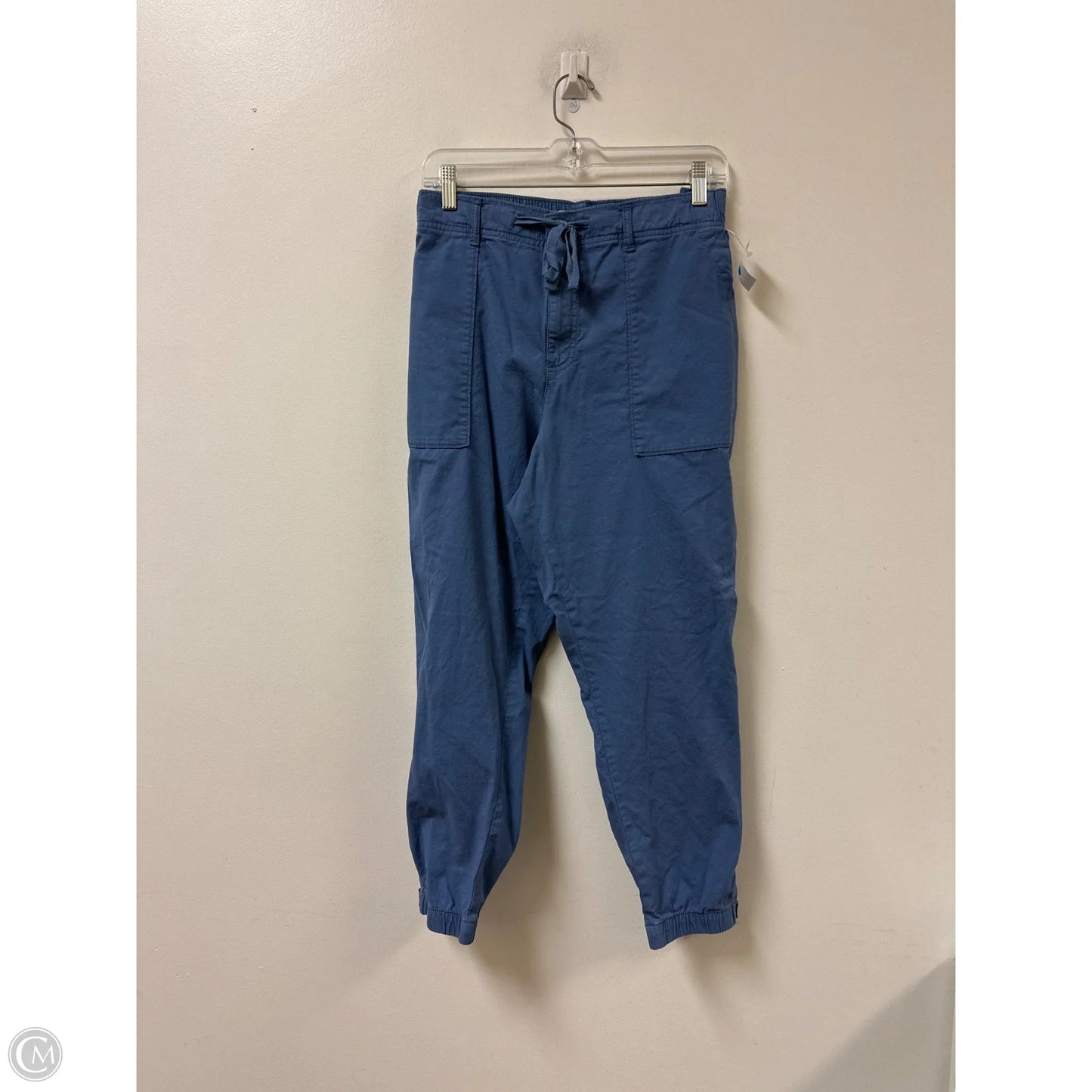 Pants Cargo & Utility By Sonoma In Blue, Size: Xl