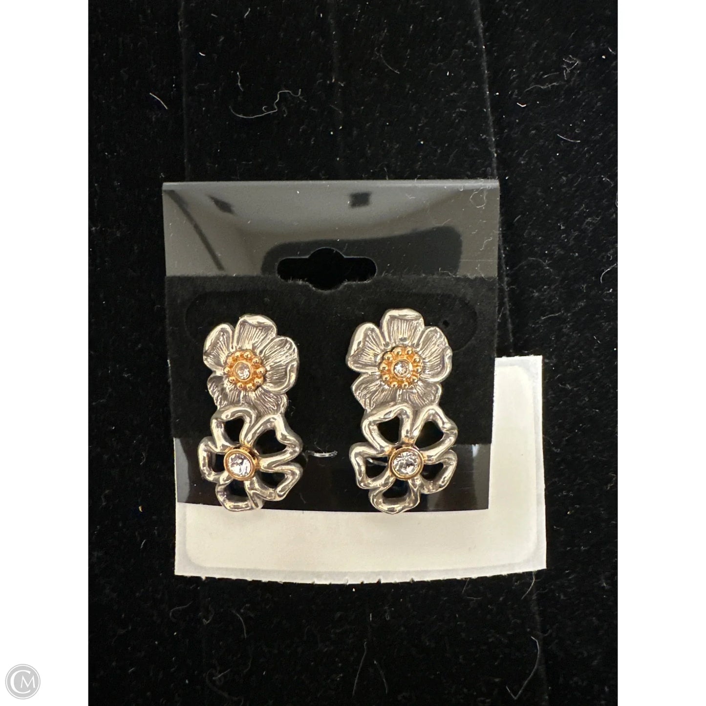 Earrings Other By Brighton