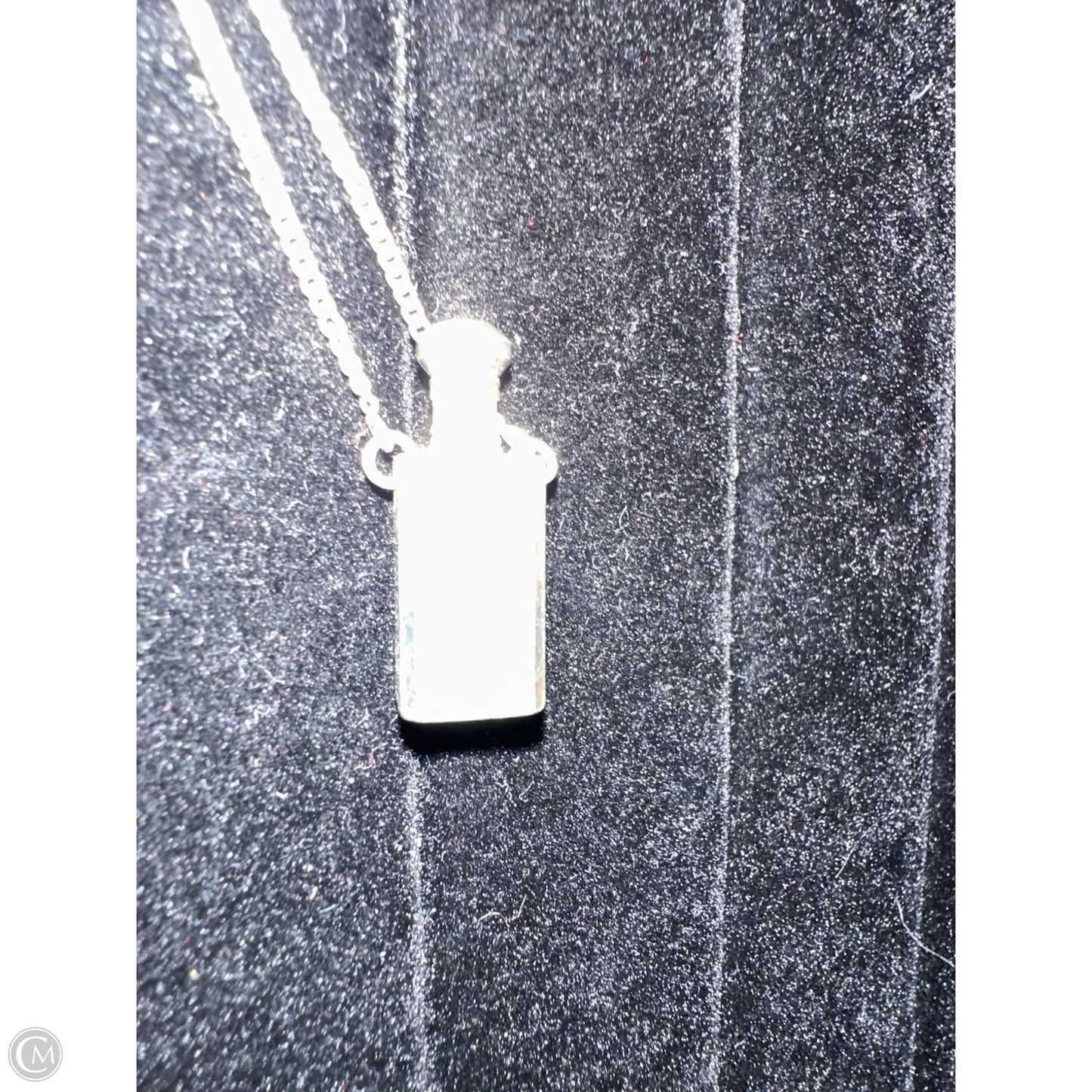 Necklace Pendant By Clothes Mentor