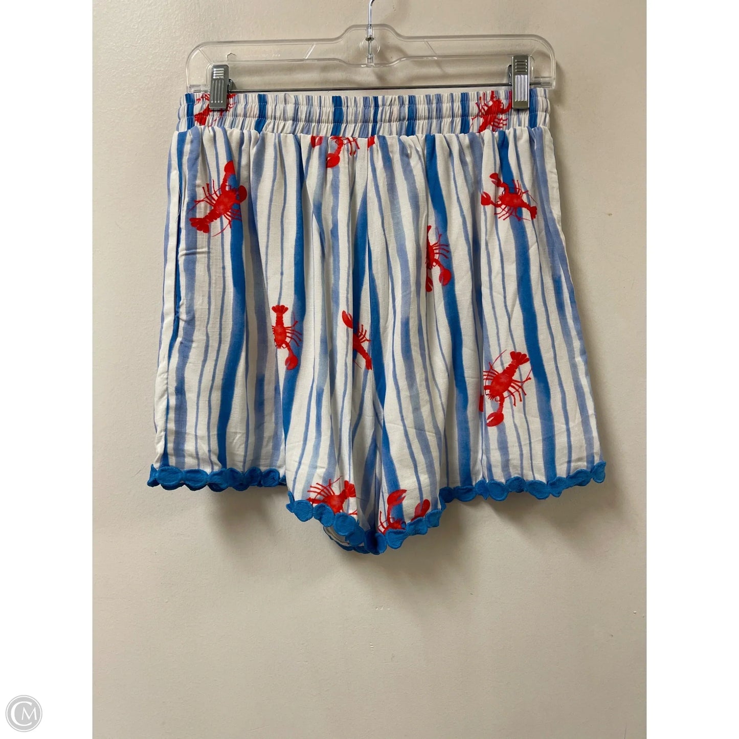 Shorts By Clothes Mentor In Blue, Size: 8