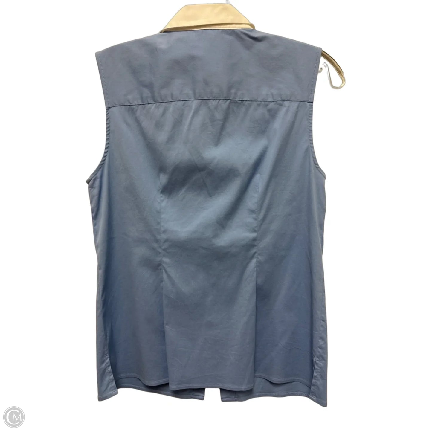 Top Sleeveless By Ann Taylor In Blue, Size: S