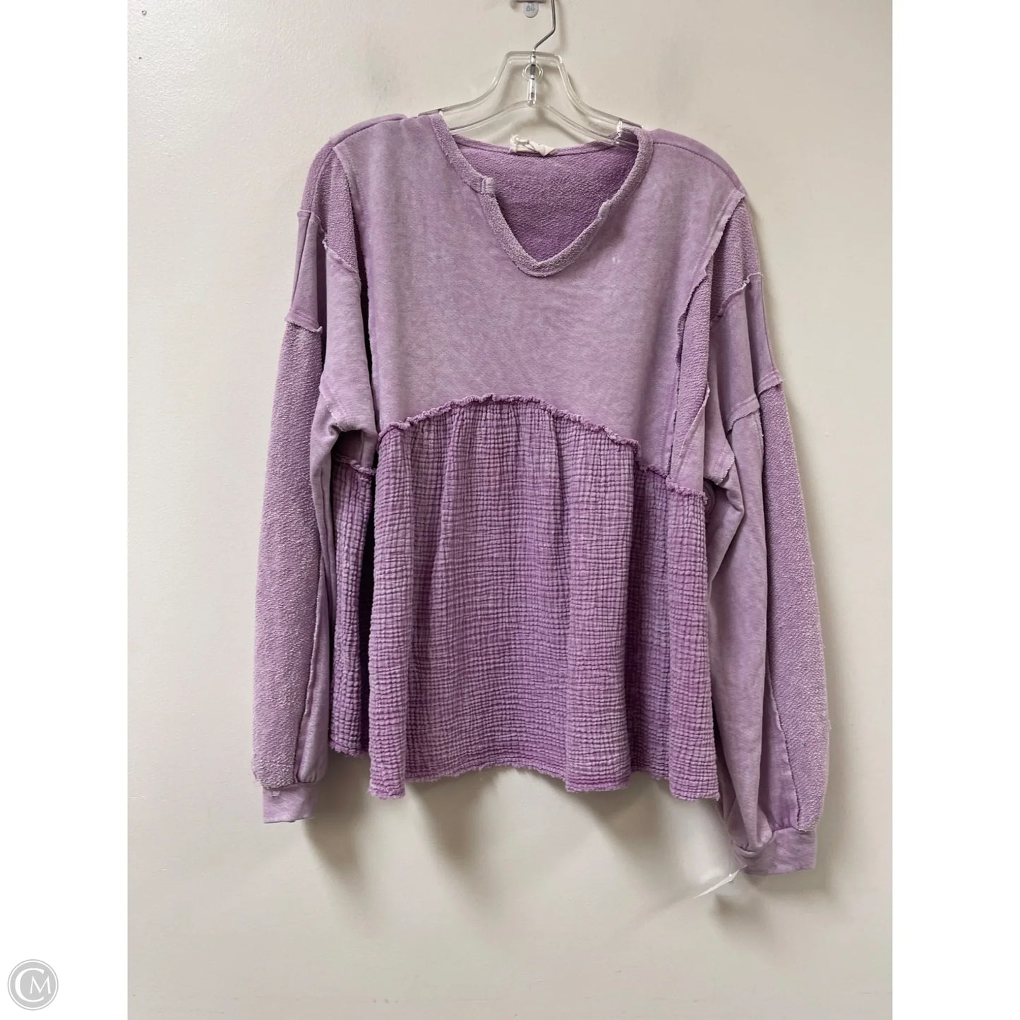 Top Long Sleeve By Fantastic Fawn In Purple, Size: S