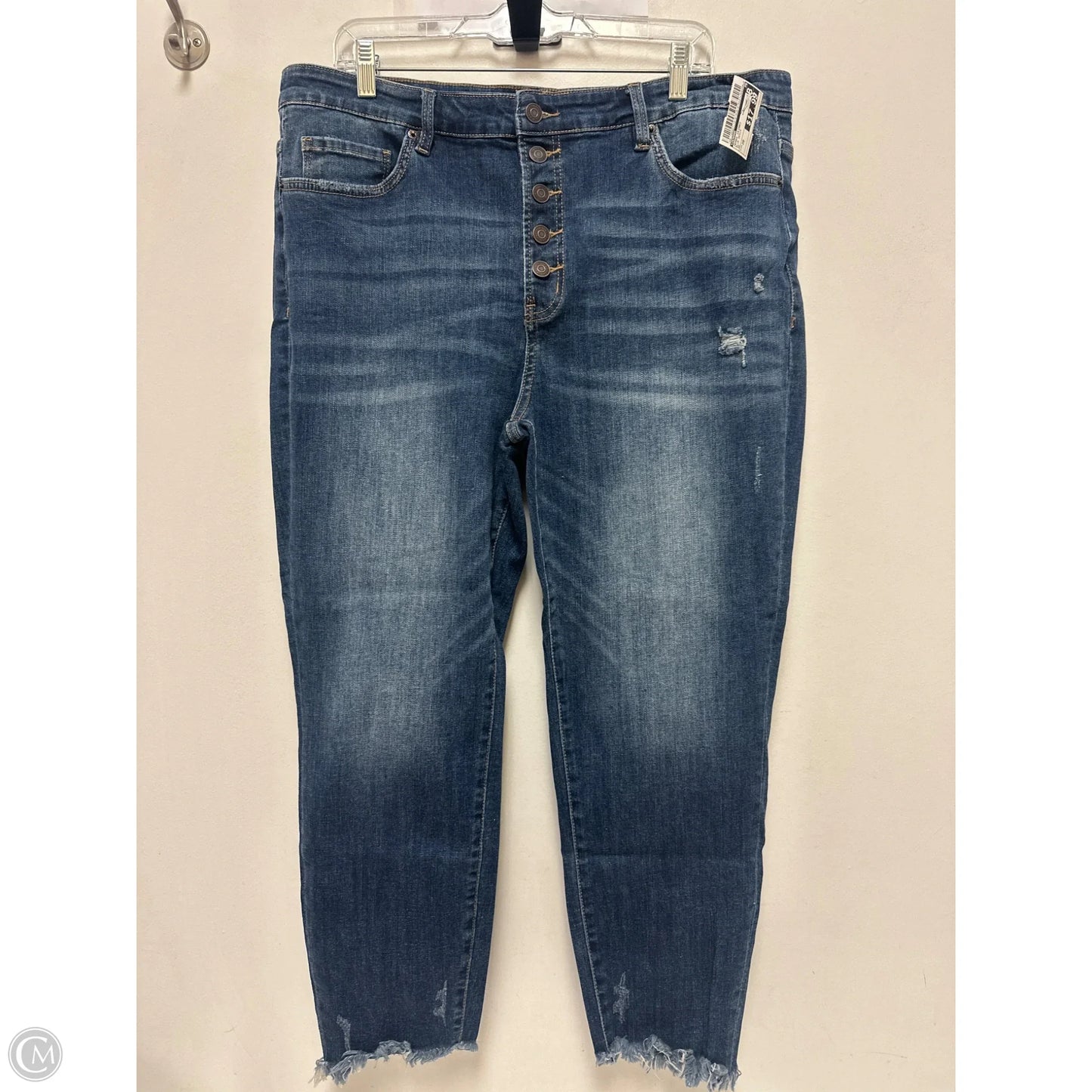 Jeans Skinny By Zenana In Blue Denim, Size: 20