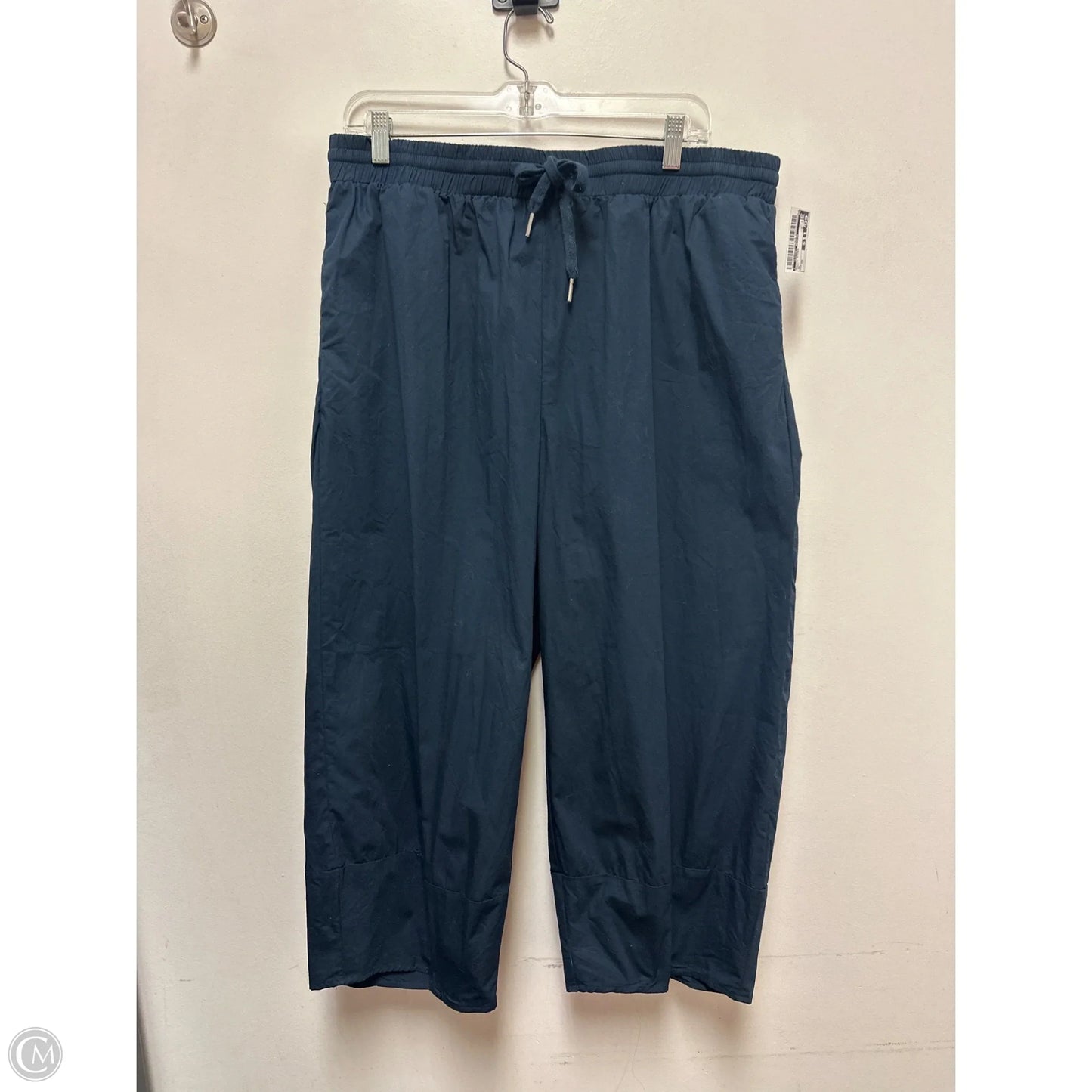 Pants Other By Clothes Mentor In Navy, Size: 20