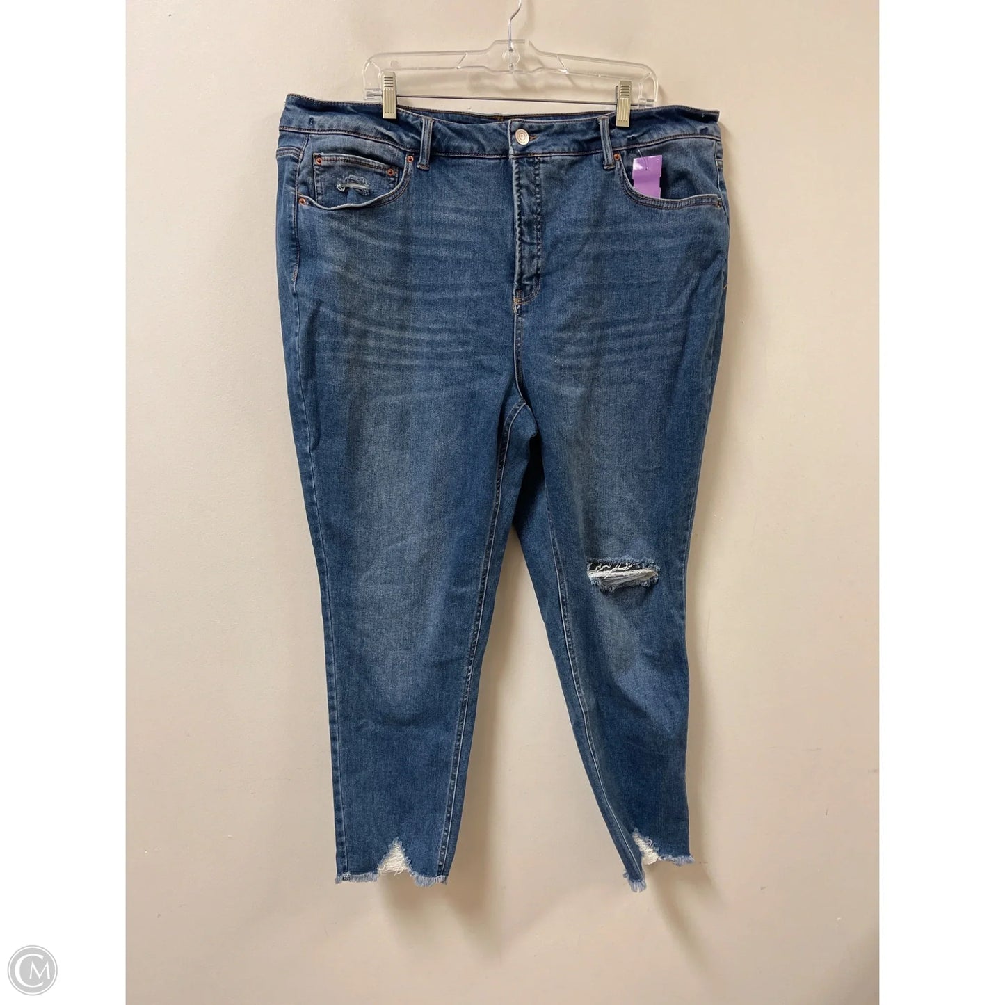 Jeans Skinny By Terra & Sky In Blue Denim, Size: 22