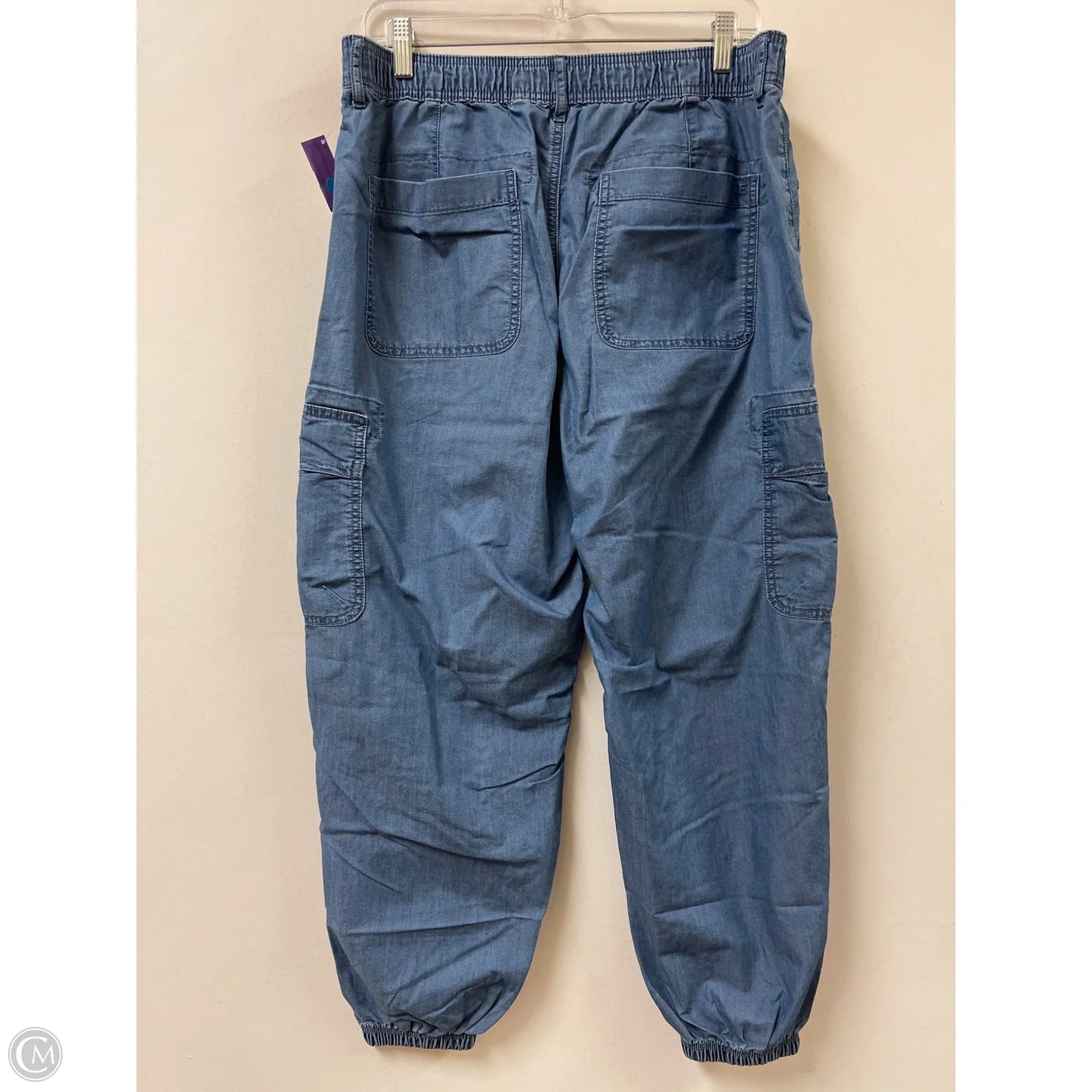 Pants Cargo & Utility By American Eagle In Blue, Size: 14