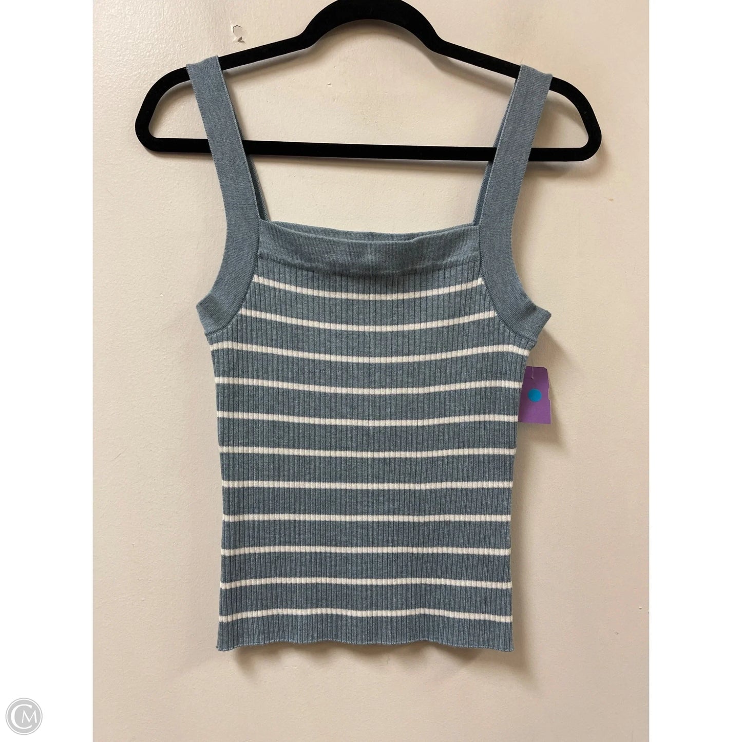Top Sleeveless By Pink Rose In Blue & White, Size: L