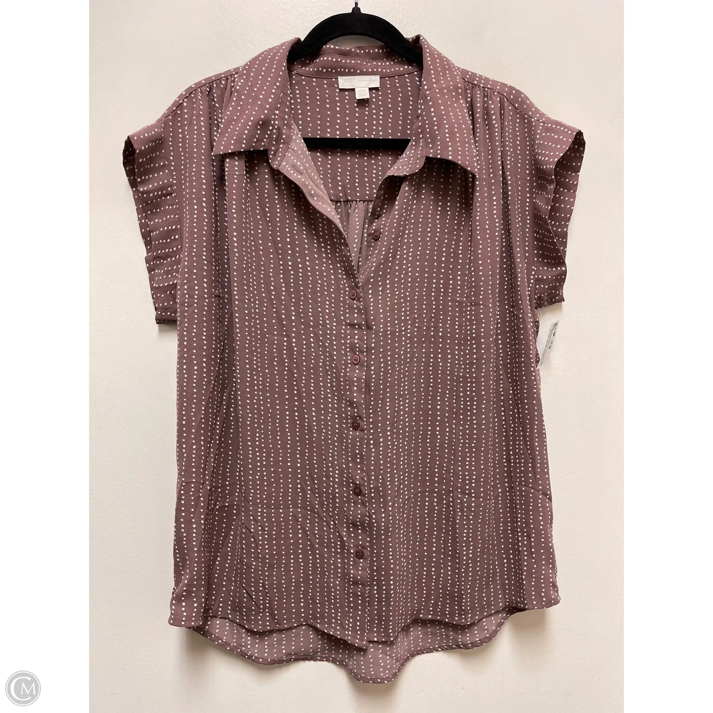 Blouse Short Sleeve By 14th And Union In Brown & White, Size: M