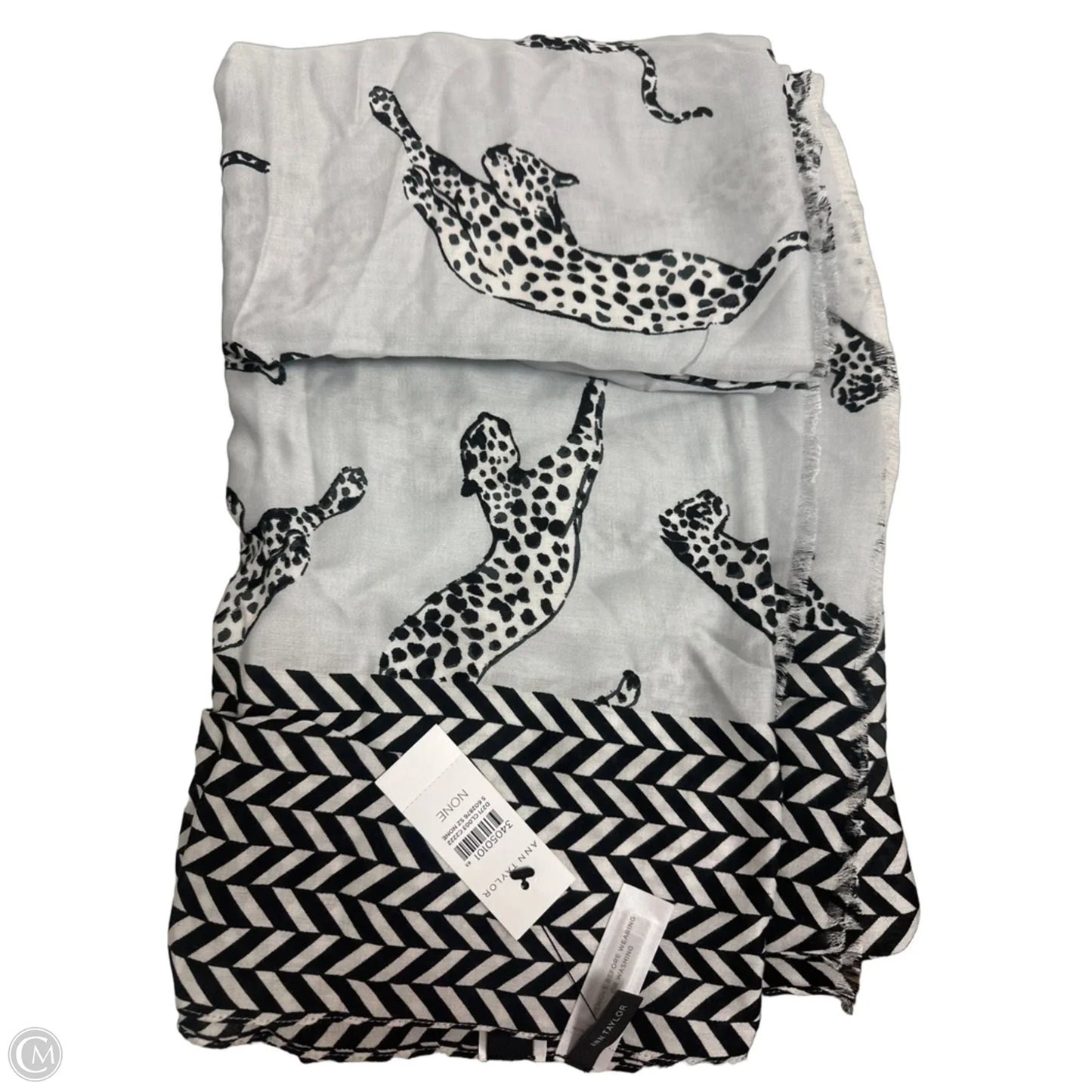 Scarf Long By Ann Taylor
