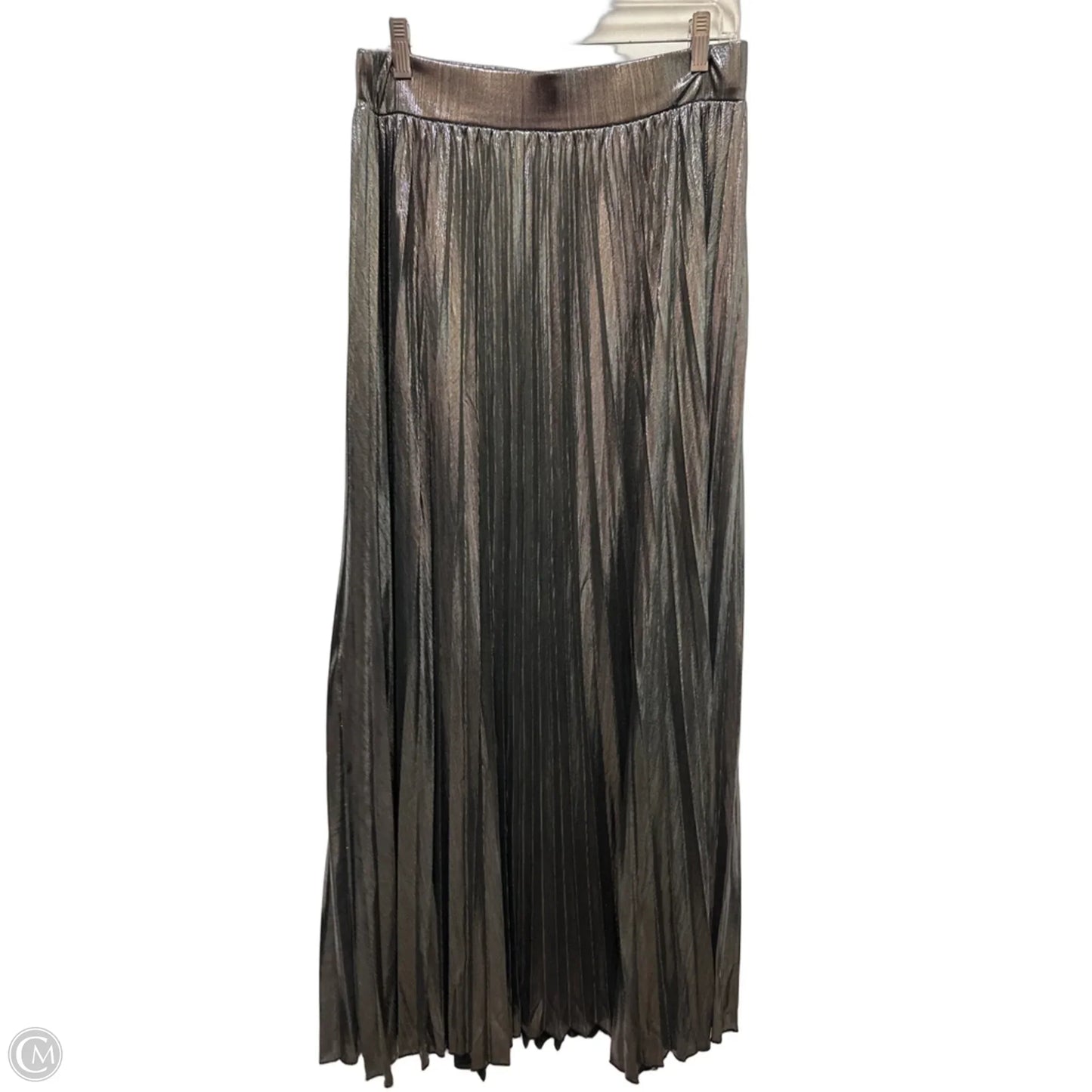 Skirt Maxi By Clothes Mentor In Silver, Size: 6