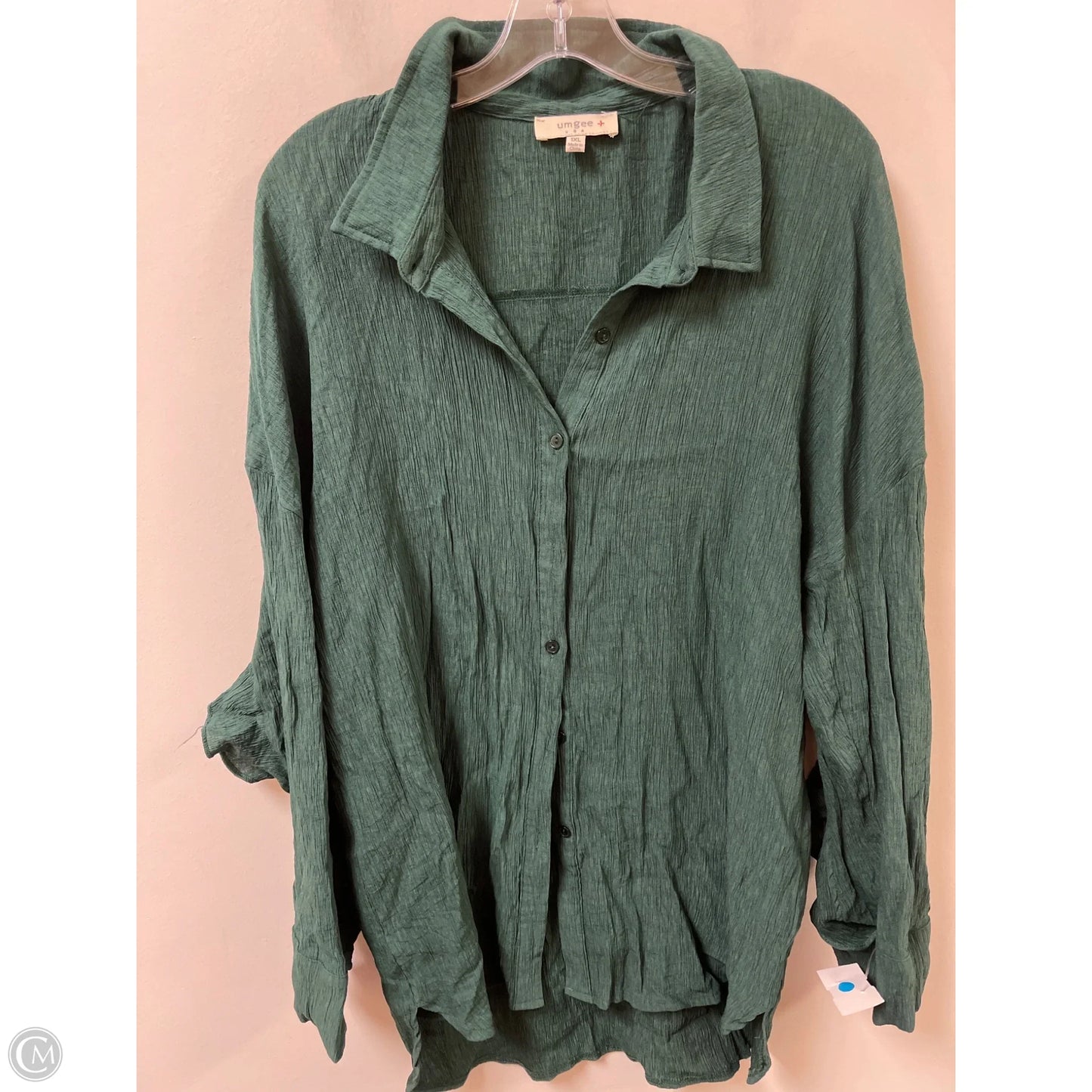 Blouse Long Sleeve By Umgee In Green, Size: 1x