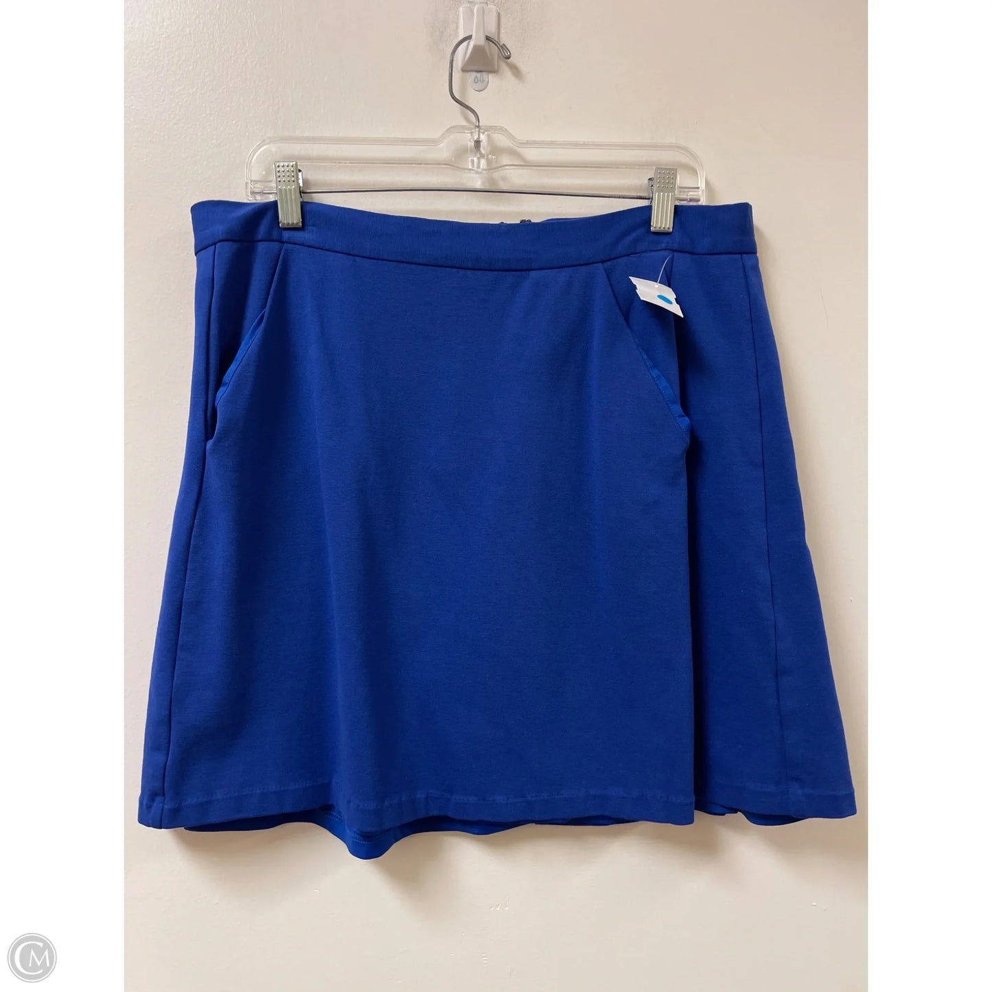 Skirt Mini & Short By Hutch In Blue, Size: 16