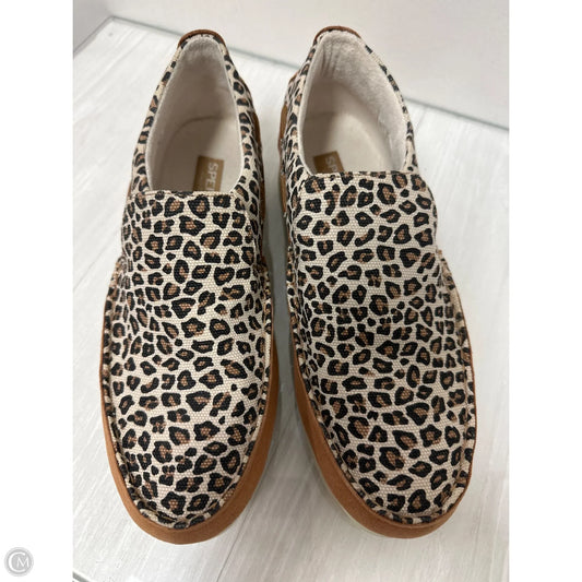 Shoes Flats By Sperry In Animal Print, Size: 9