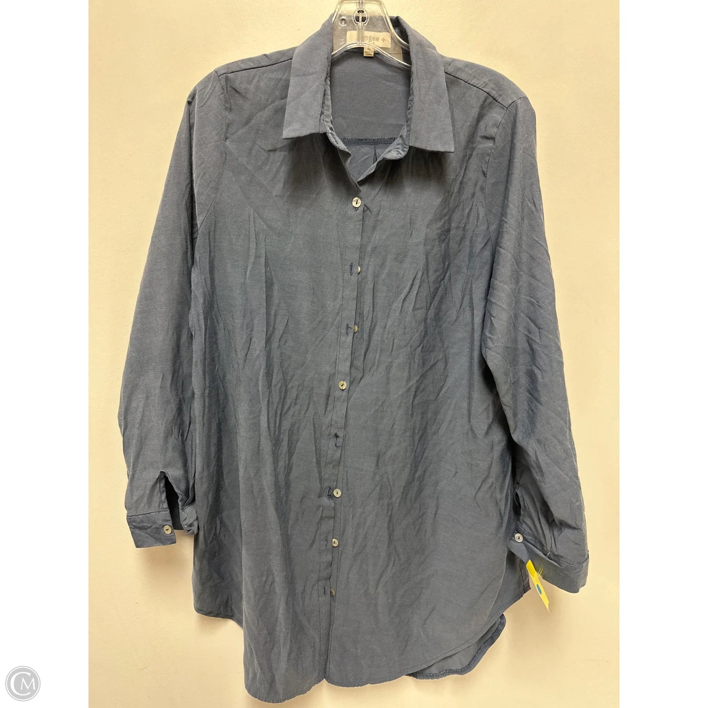 Blouse Long Sleeve By Umgee In Blue, Size: Xl