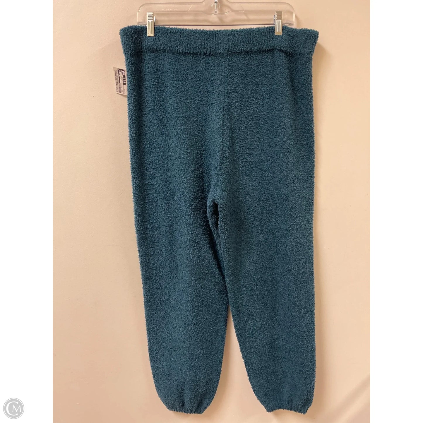 Pants Lounge By Eddie Bauer In Teal, Size: 12