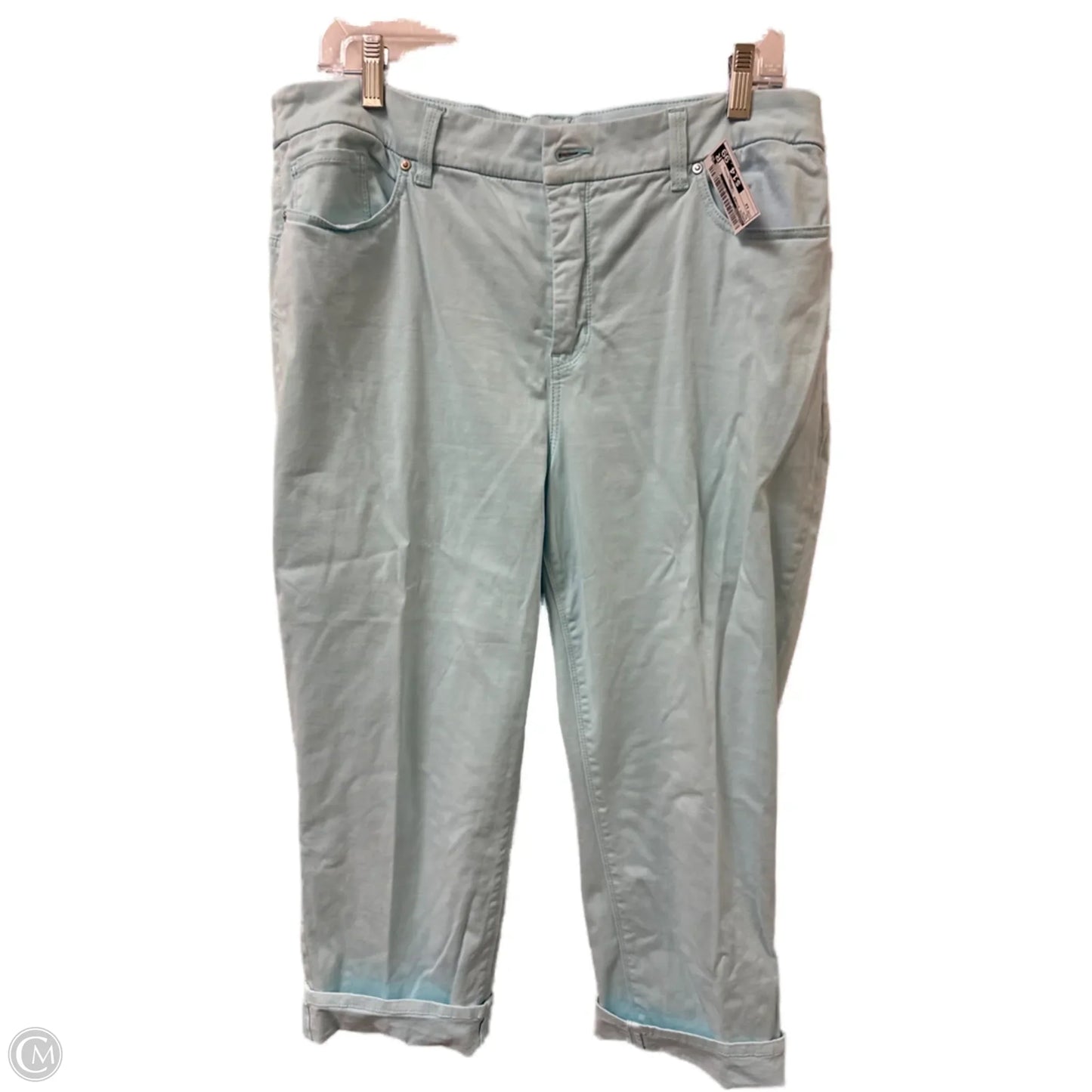 Pants Other By Chicos In Blue, Size: 12