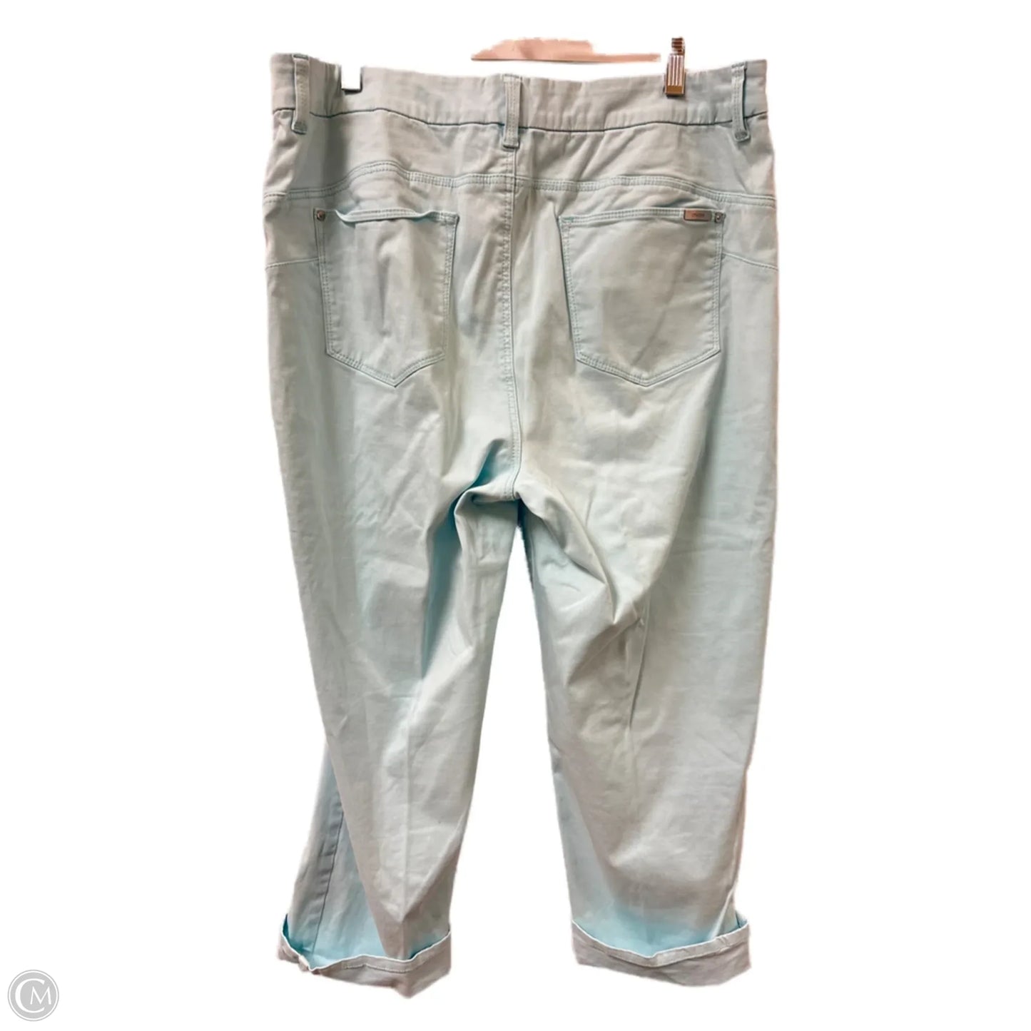 Pants Other By Chicos In Blue, Size: 12