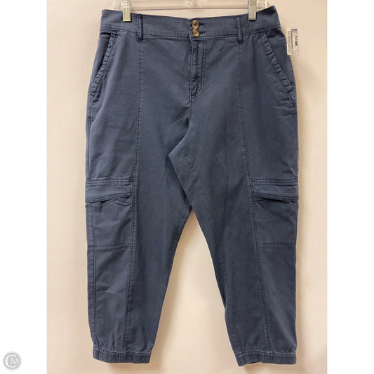 Pants Other By Sonoma In Navy, Size: 12