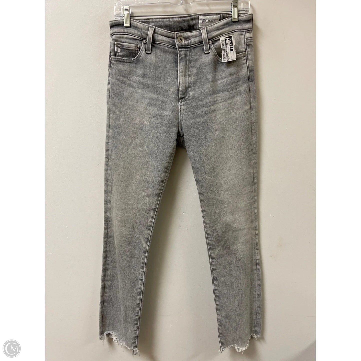 Pants Other By Adriano Goldschmied In Grey, Size: 4