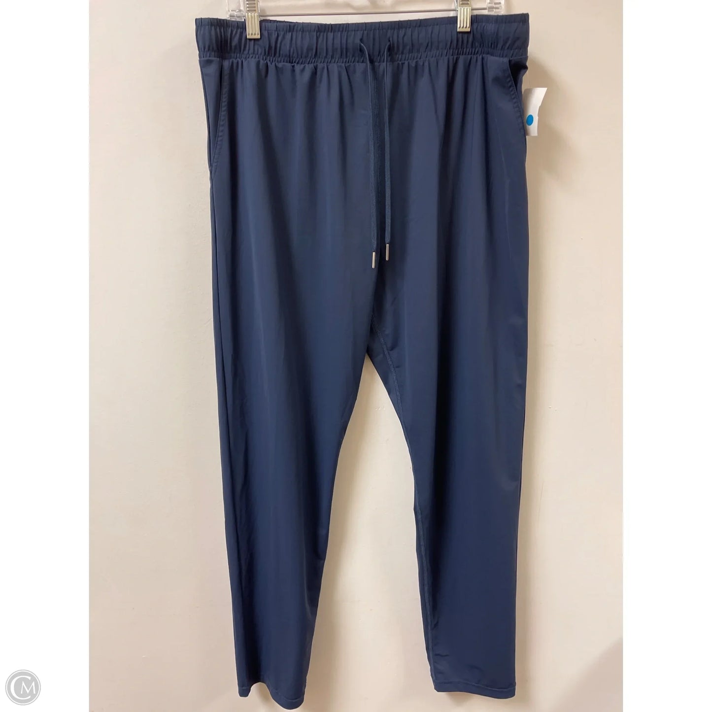 Athletic Pants By Zyia In Navy, Size: 2x