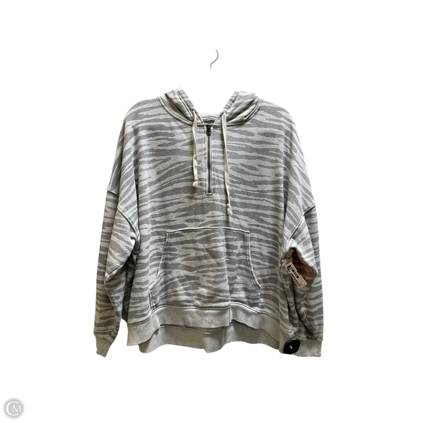 Sweatshirt Hoodie By American Eagle In Grey, Size: L