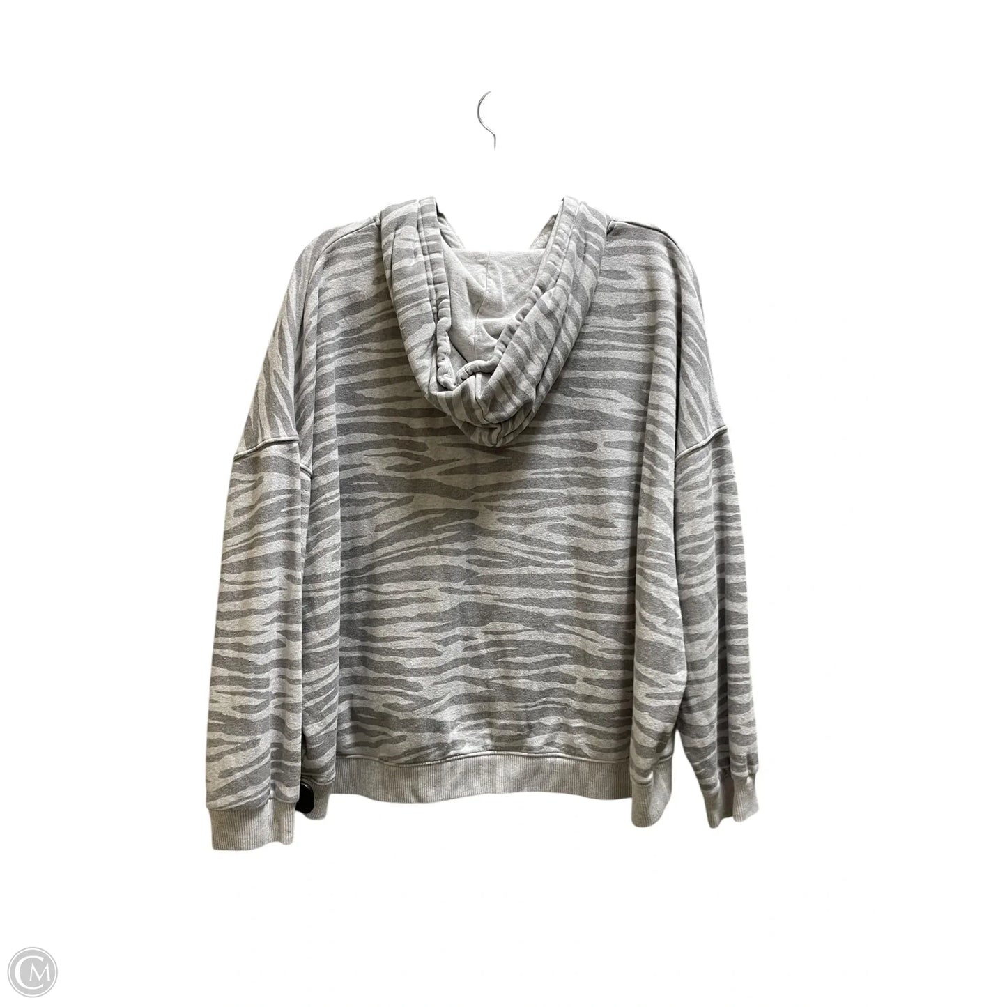 Sweatshirt Hoodie By American Eagle In Grey, Size: L