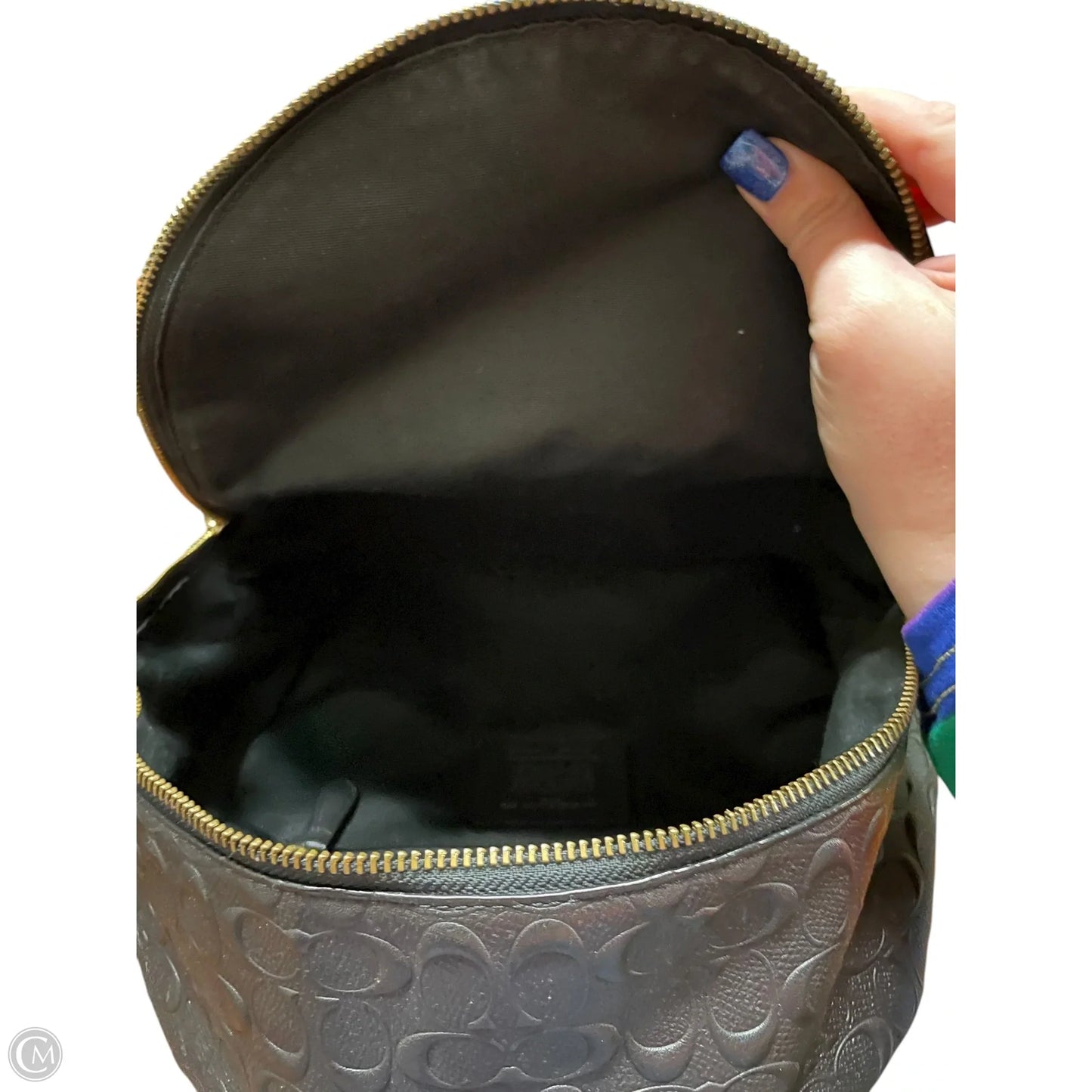 Backpack Designer By Coach, Size: Medium