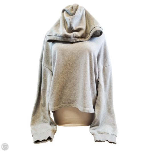 Sweatshirt Hoodie By Wild Fable In Grey, Size: Xl