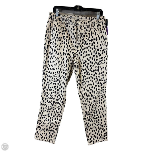 Pants Dress By Chicos In Animal Print, Size: 10
