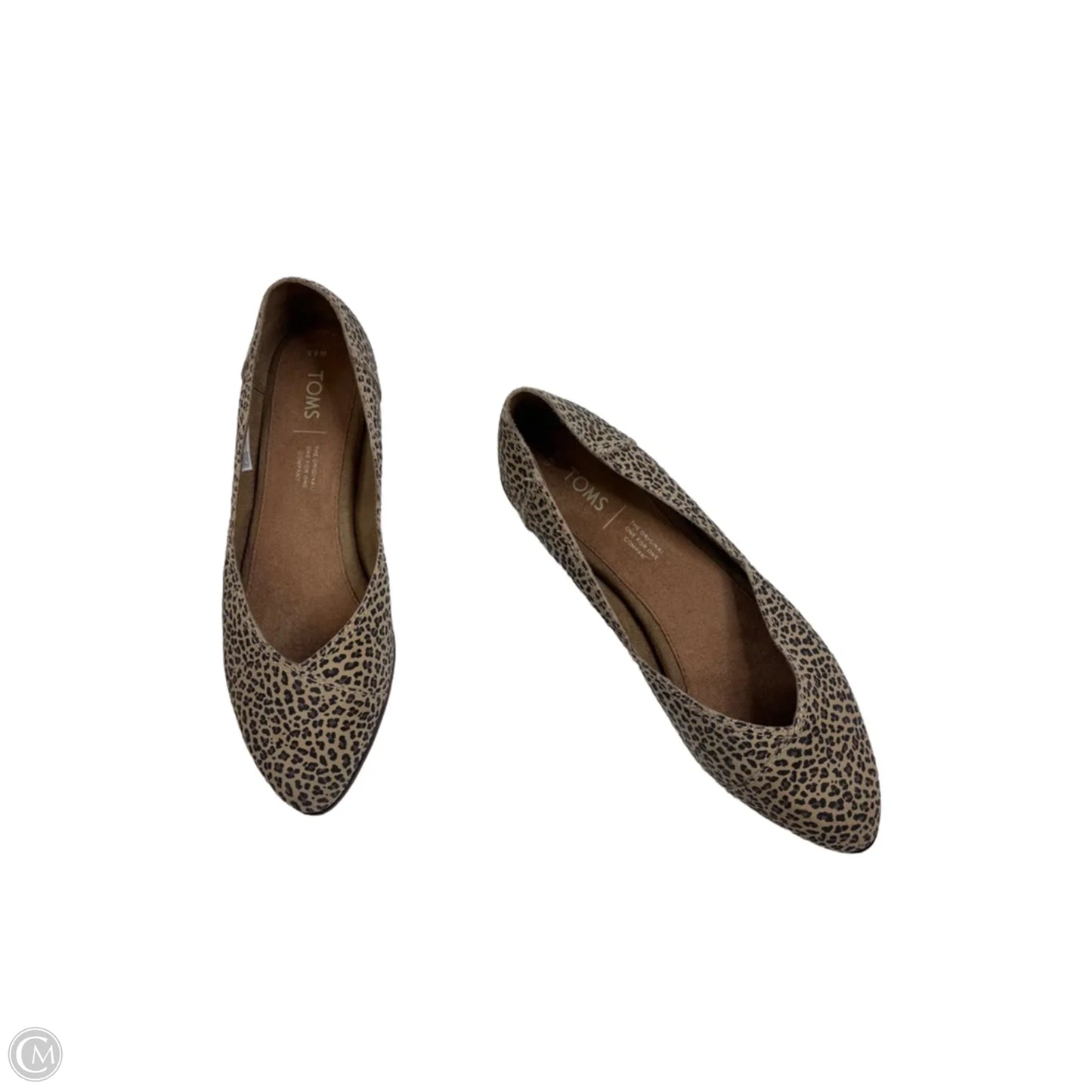 Shoes Flats By Toms In Animal Print, Size: 8.5