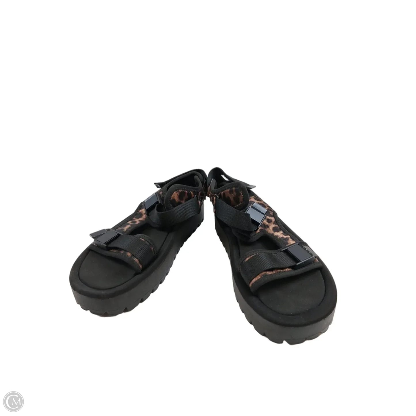 Sandals Heels Platform By Zara In Animal Print, Size: 7.5