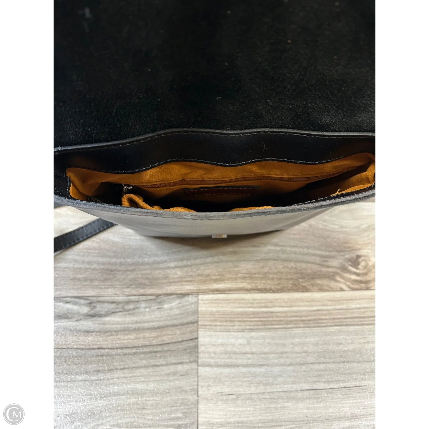 Backpack Designer By Patricia Nash, Size: Medium