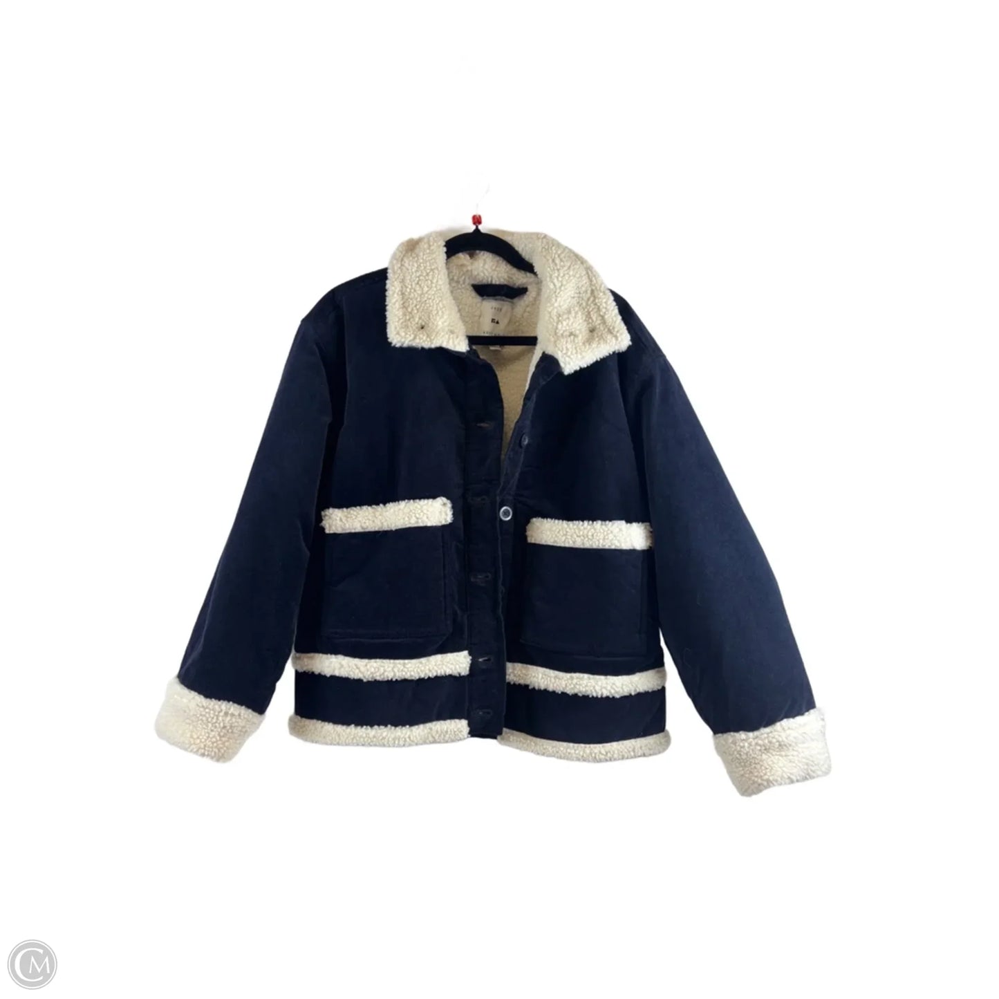 Jacket Other By Free Assembly In Blue & Cream, Size: L