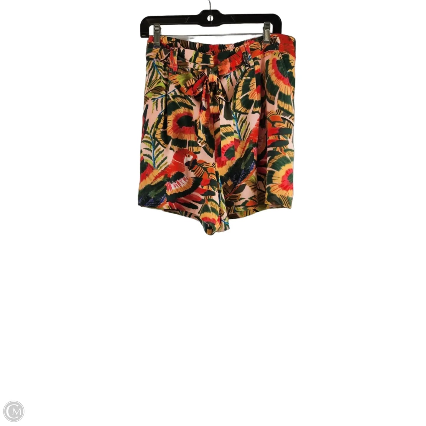Shorts By Eliane Rose In Green & Orange, Size: 16