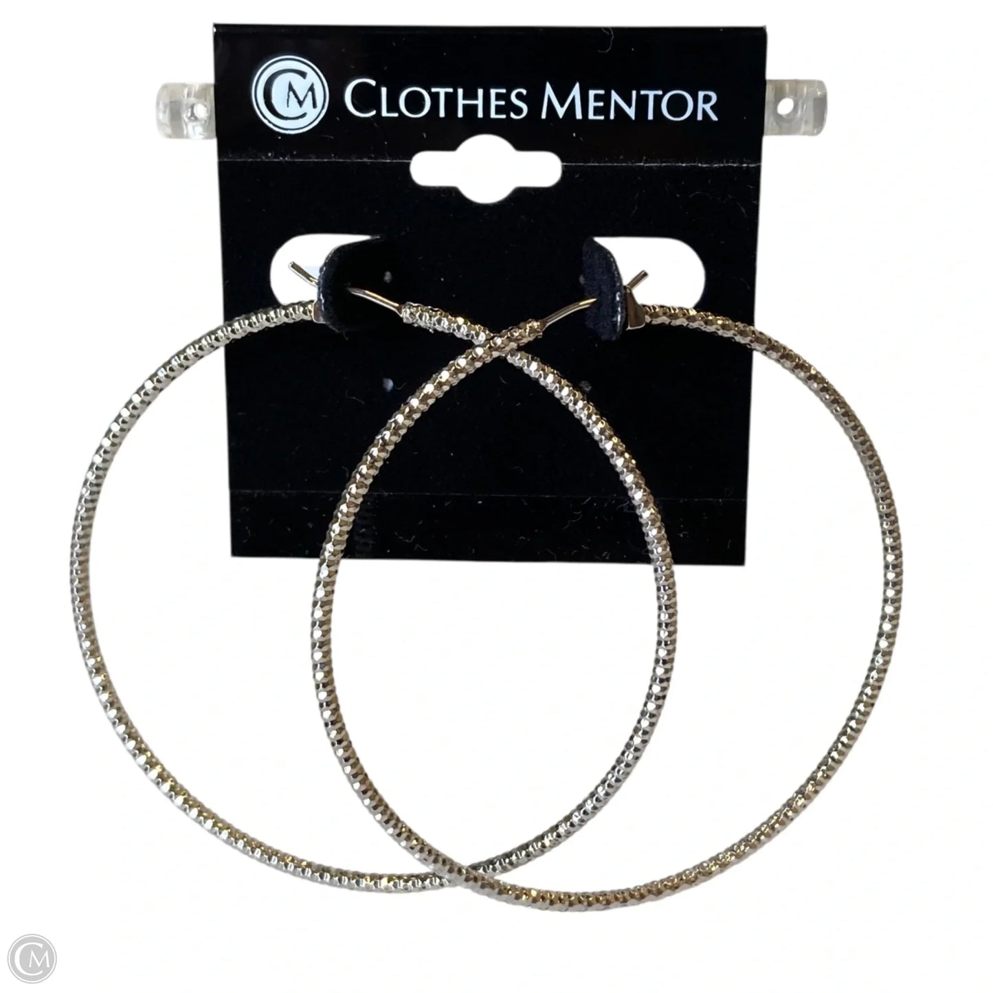 Earrings Hoop in Silver