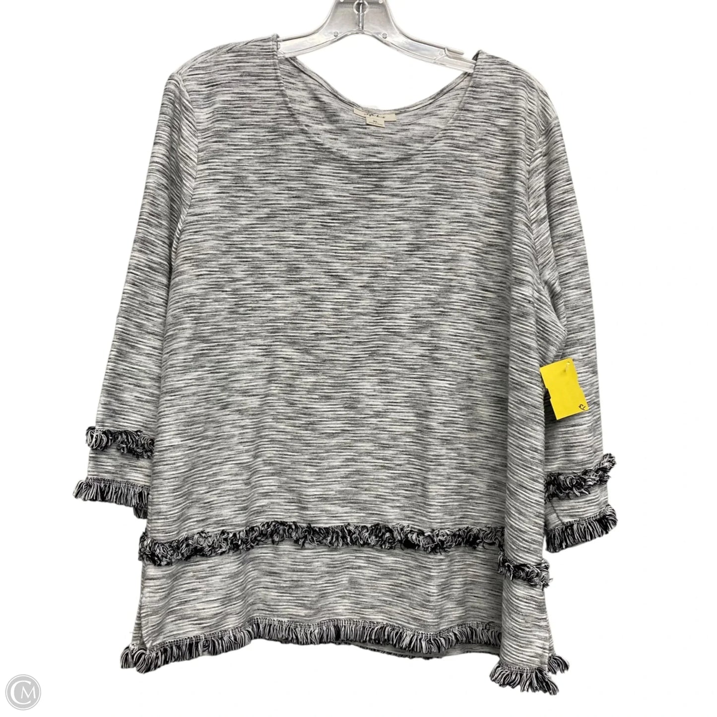 Top Long Sleeve By Style And Company In Grey, Size: Xl