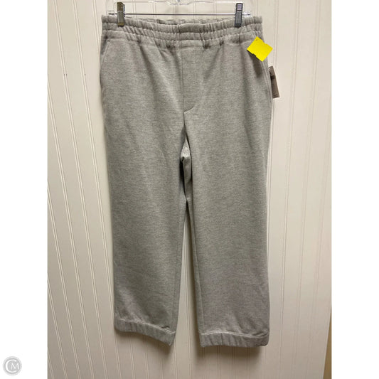 Pants Lounge By Maeve In Silver, Size: 6