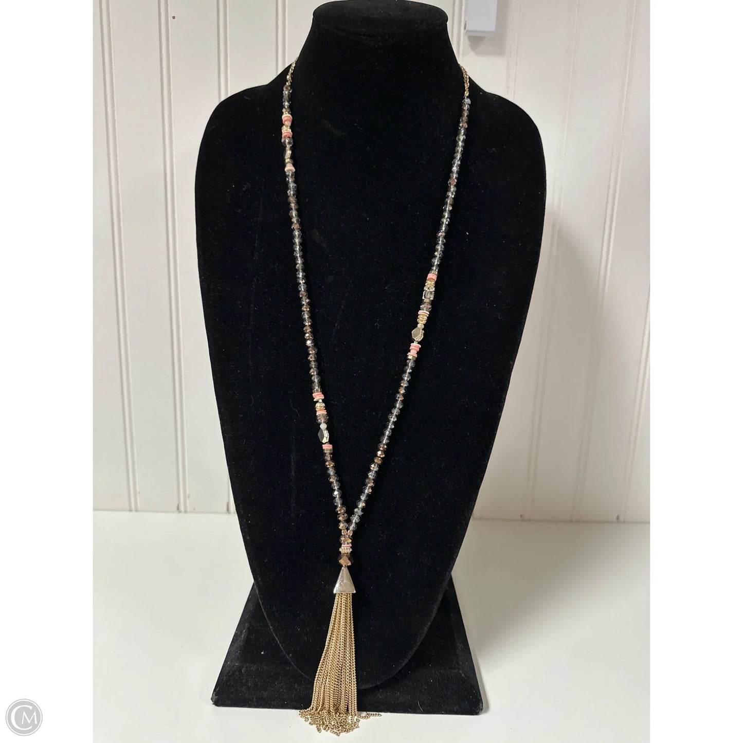 Necklace Lariat & Y-drop By Express, Size: 1