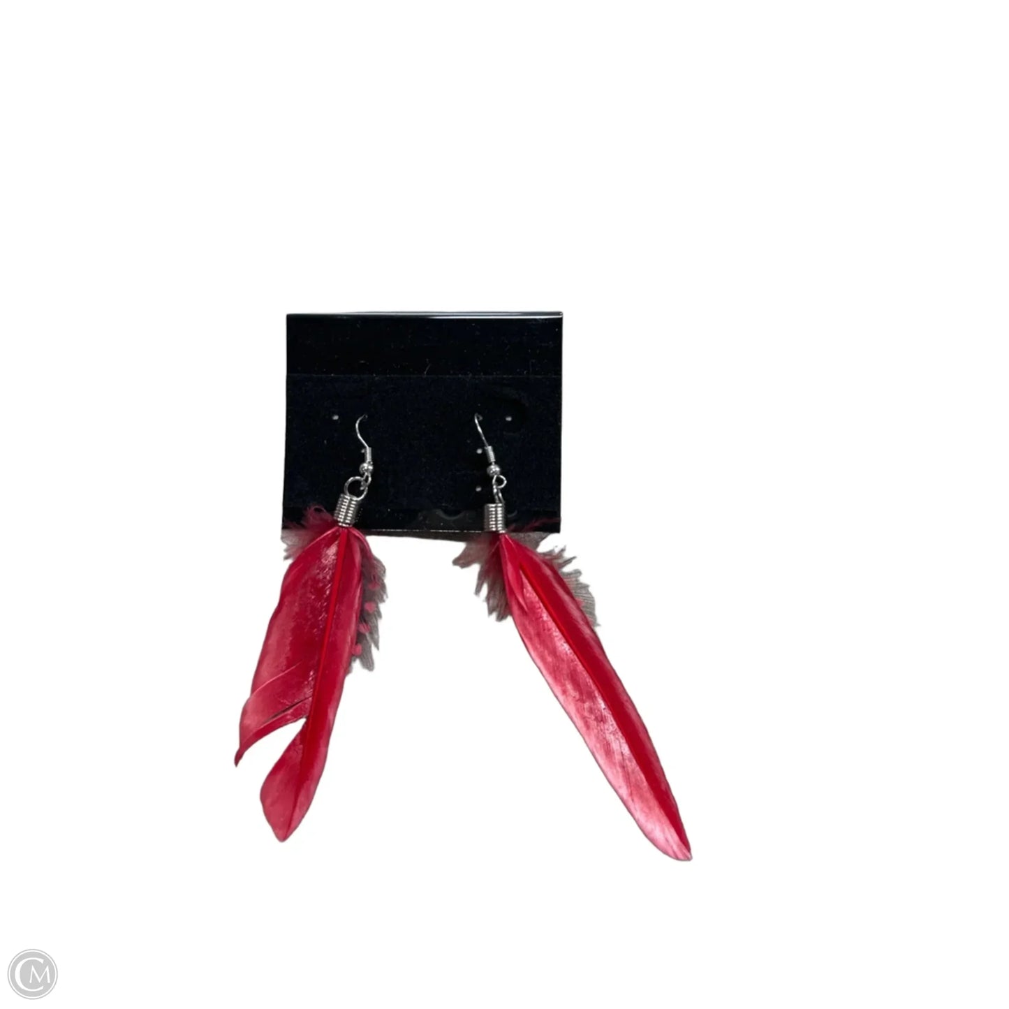 Earrings Dangle/drop By Clothes Mentor