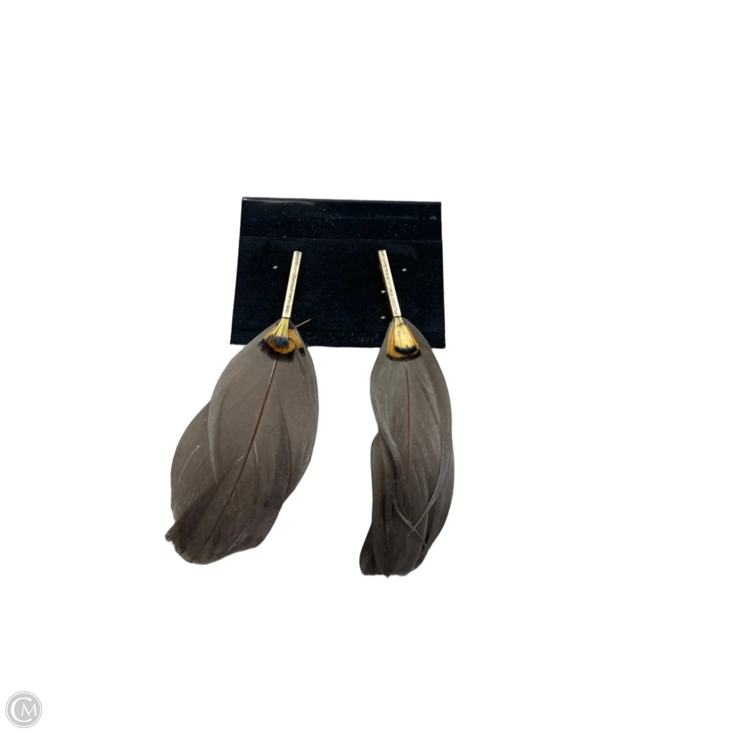 Earrings Dangle/drop By Clothes Mentor