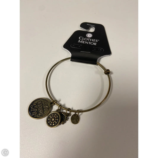 Bracelet Bangle By Clothes Mentor